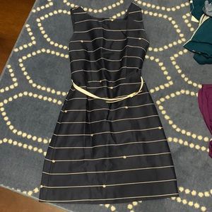 COPY - The limited navy striped dress